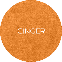 Swatch-862-Ginger-291