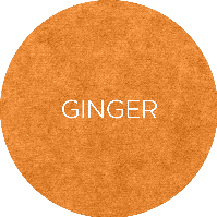 Swatch-862-Ginger-822