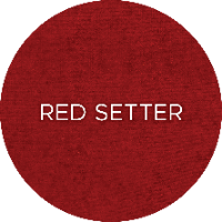 1337-Red-Setter-582